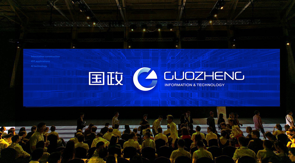 海南国政实业有限公司