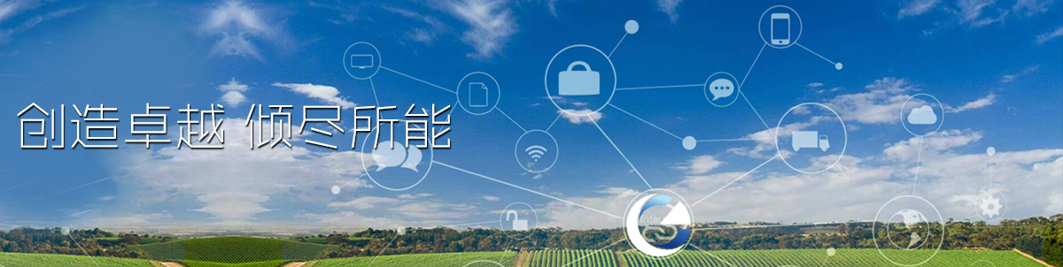 海南国政科技有限公司