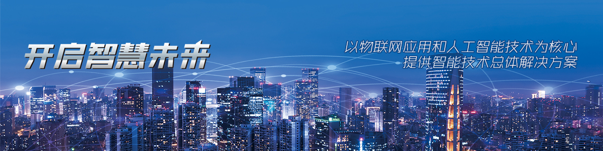 海南国政科技有限公司